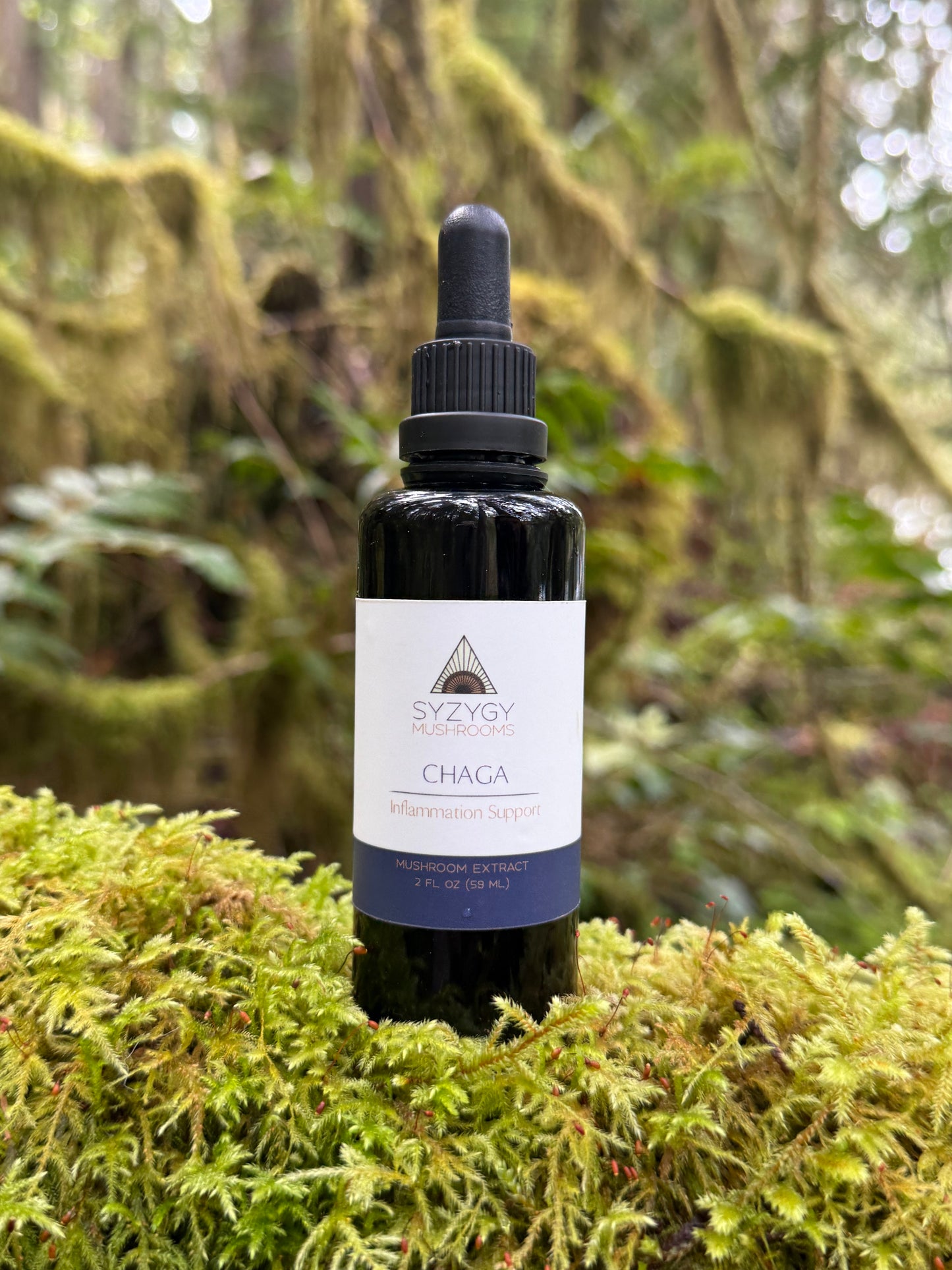 Chaga Tincture