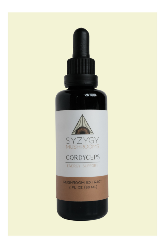 Cordyceps Tincture