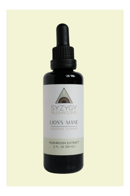 Lion's Mane Tincture