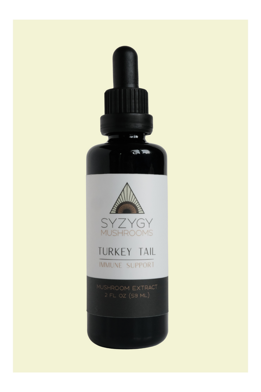 Turkey Tail Tincture